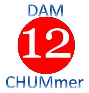 DAM Chummers logo.jpg