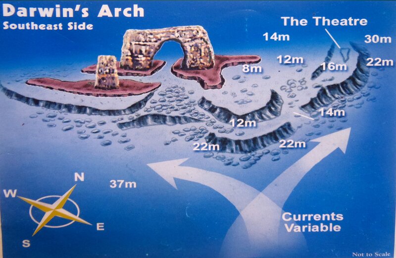 Darwin Arch.jpg