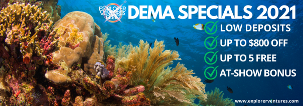 dema-2021-art-2-png.679721.png dema-2021-art-2-png.679721.png