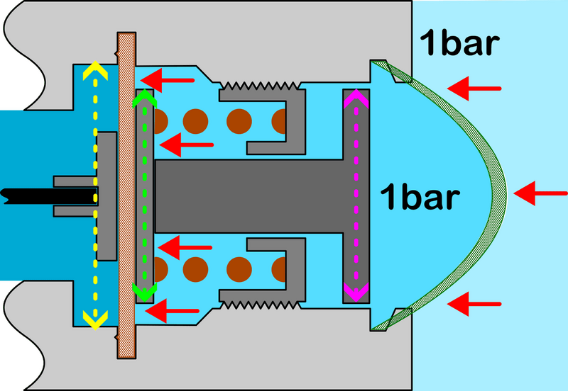 Diaphragm - With Environmental Seal And Bubble No Pressure Twice As Big.png