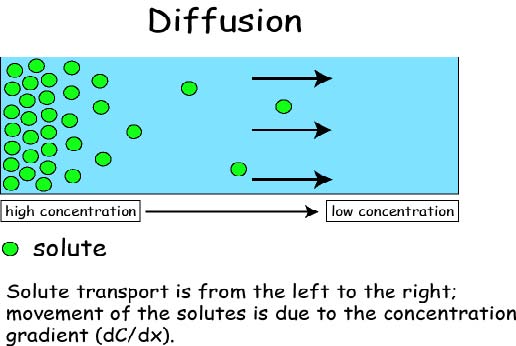 diffusion-concentration-gradient.jpg