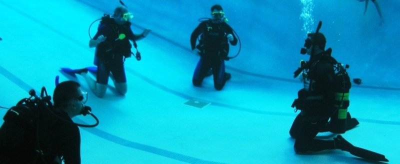 dive alaska pool training.jpg