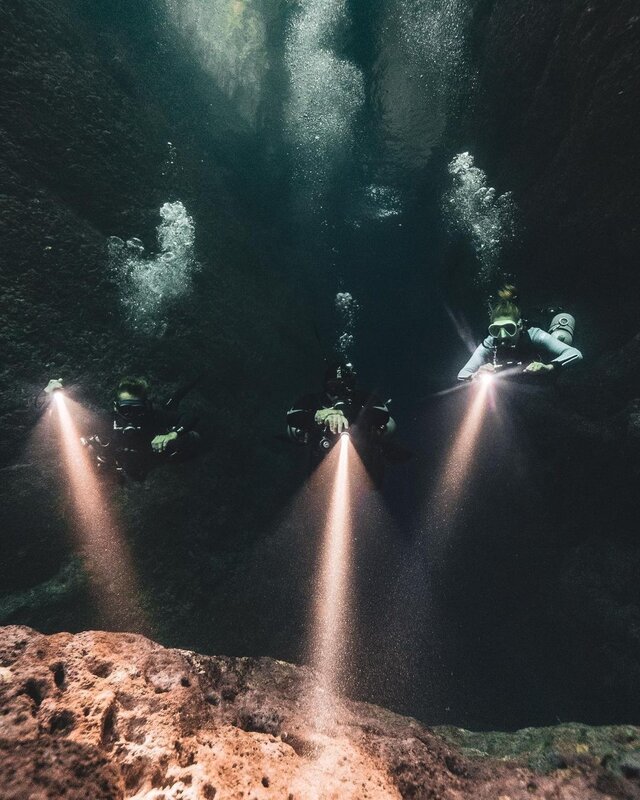 Dive buddies by maxime_underwater.jpg