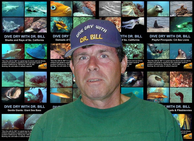 Dive Dry hat 2300 on DVD covers.jpg
