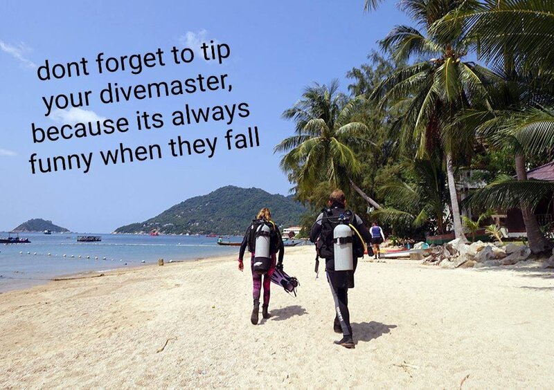 DIVE MASTER TIP.jpg