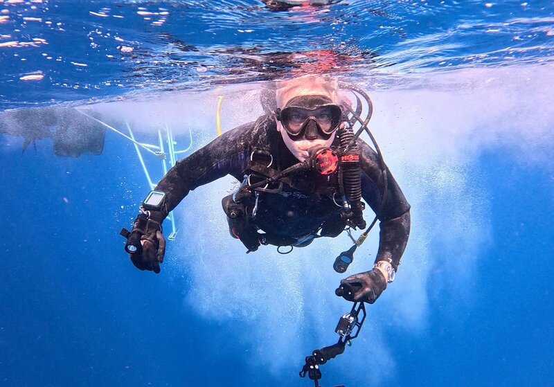 dive pic.jpg