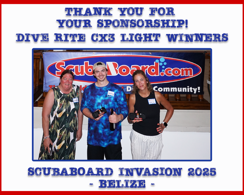 DIve Rite Light Winners.png