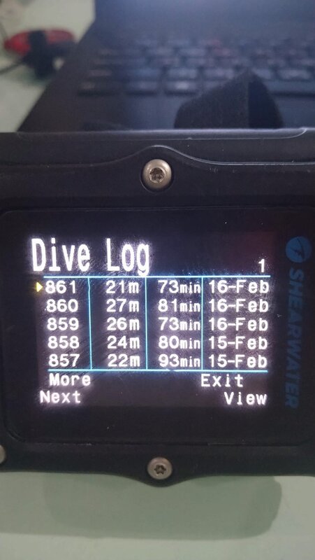 DIVE TIMES.jpeg