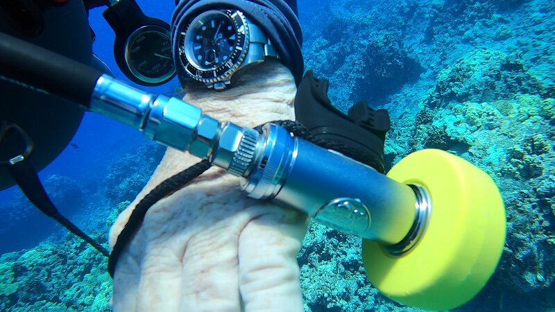 Dive with SD50b-X3.jpg