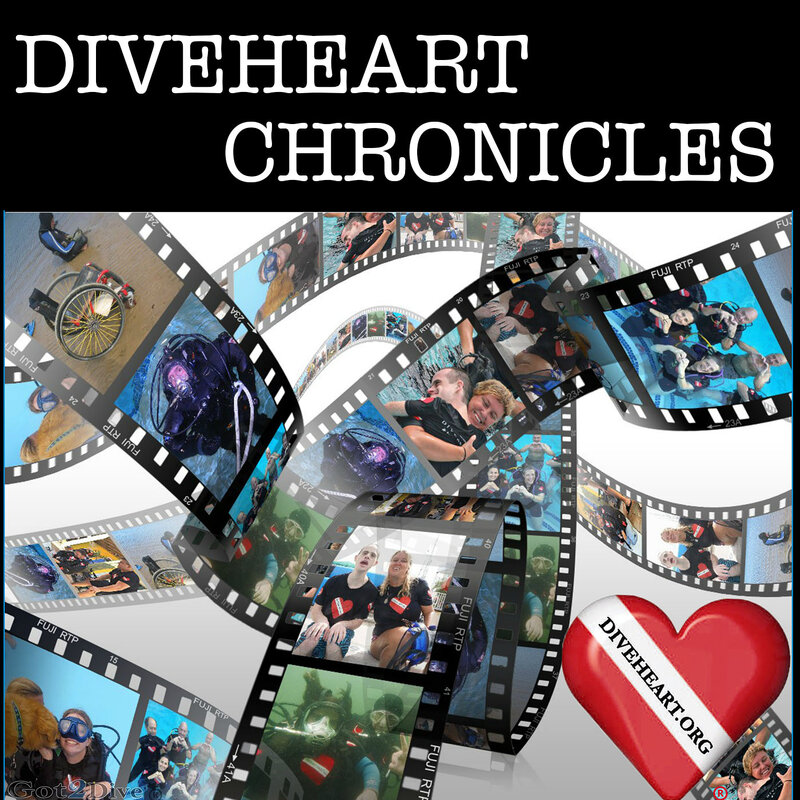 Diveheart Chronicles Artwork.jpg Diveheart Chronicles Artwork.jpg