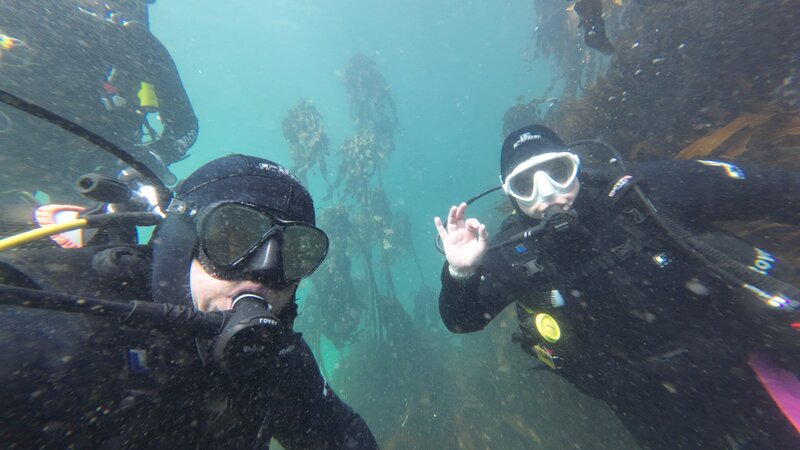 Cape Town Kelp Forests