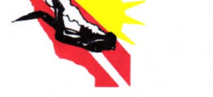 dp-logo_0.jpg