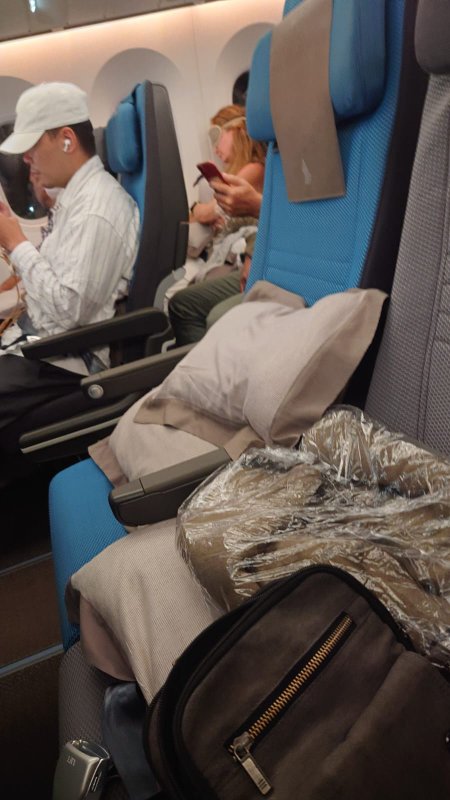 DREAMLINER 787 SINGAPORE AIRLINES.jpg