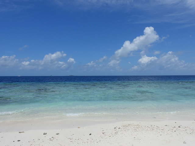 DSC06241.jpg DSC06241.jpg