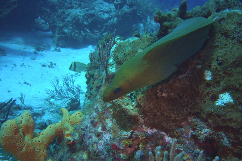 DSCI8177.Vivid_shr.jpg