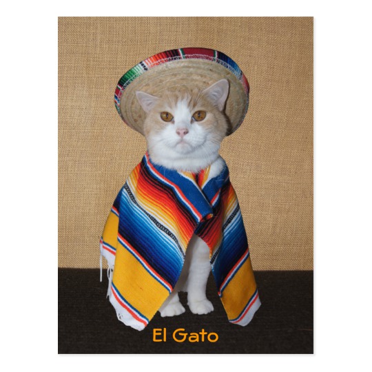 el_gato_cat_in_sombrero_and_serape_postcard-rd2ddd5ec6da04a2791f5d255d13c0f77_vgbaq_8byvr_540.jpg