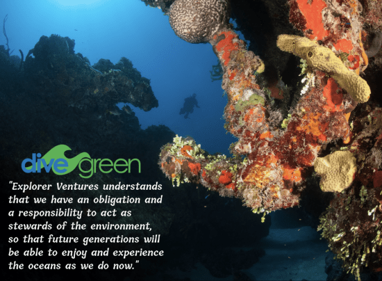 EV_DiveGreenQuote1-e1560367774564-1024x752.png