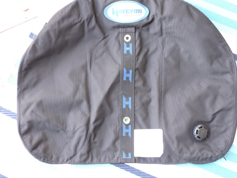 Explorer™ 40 Wing, 18 KG  40 LB Lift.JPG