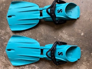 fins2.jpg fins2.jpg
