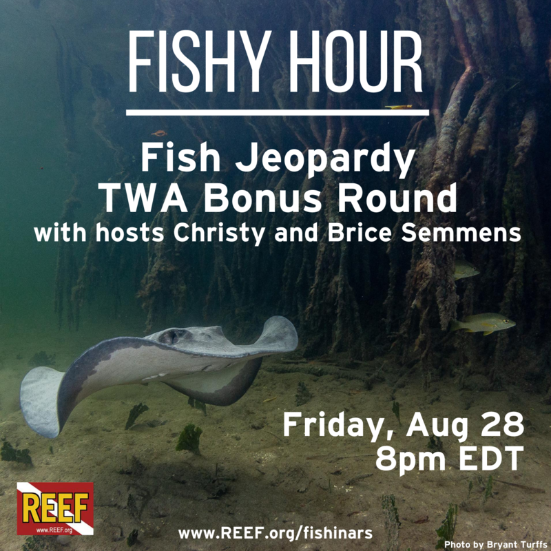 Fishy Hour August Fish Jeopardy TWA SH.png