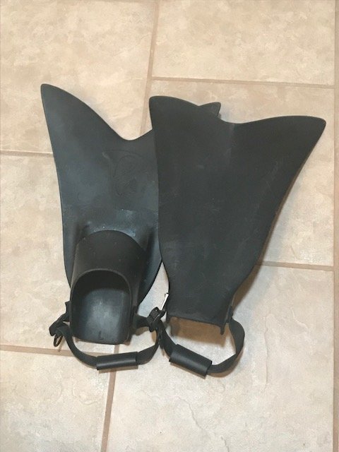forcefin.jpg forcefin.jpg