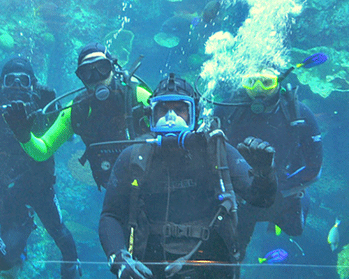full-face-mask-divers.png
