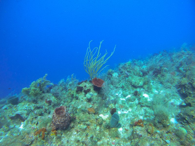 GOPR0738 copy.jpg