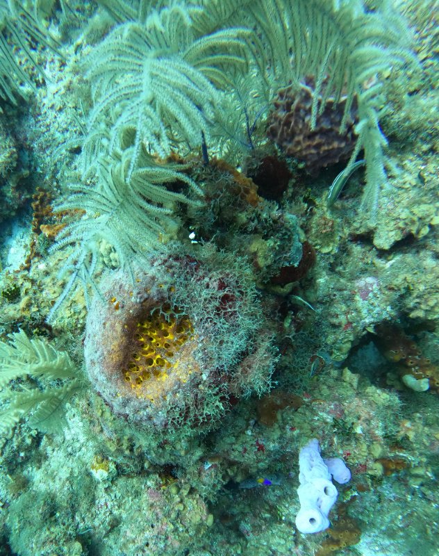 GOPR0761 copy.jpg