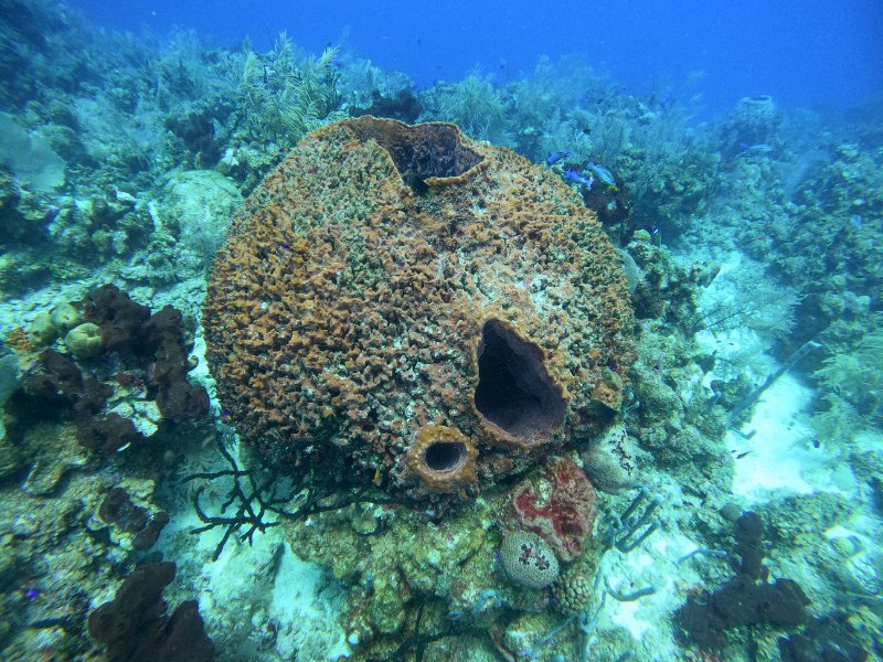 GOPR0807 copy.jpg