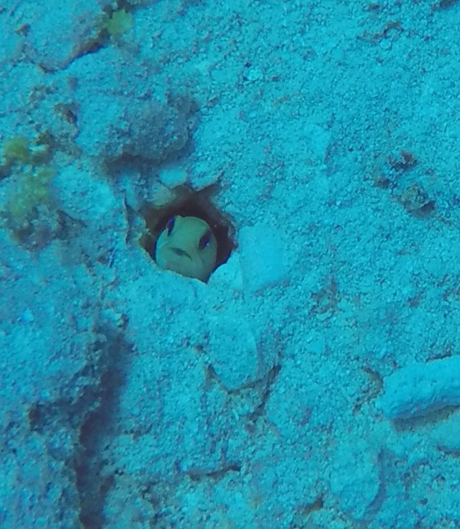 GOPR3992.JPG