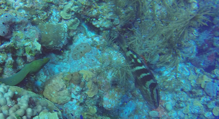 GOPR4037.JPG