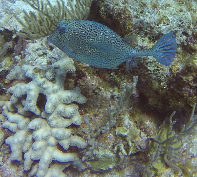 GOPR4047.JPG