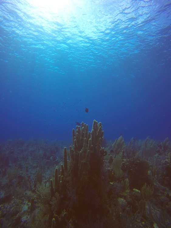 GOPR4102.JPG