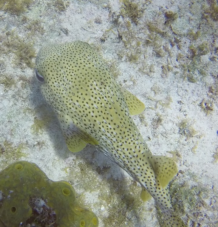 GOPR4165.JPG