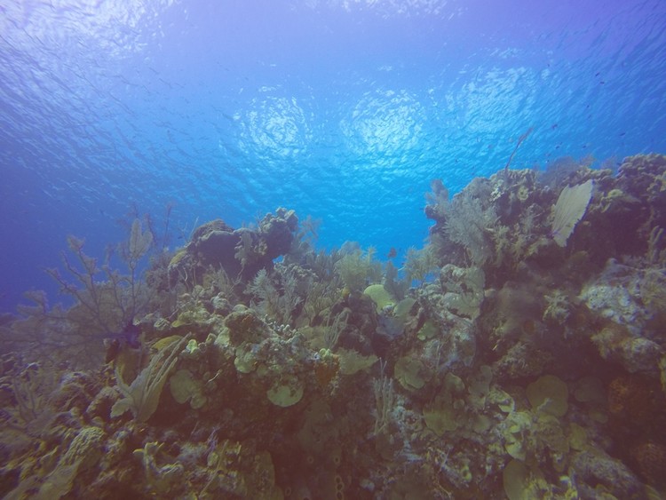 GOPR4219.JPG