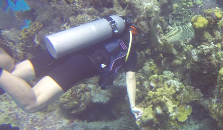 GOPR4387.JPG