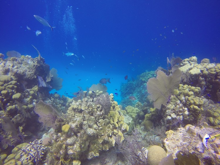 GOPR4445.JPG
