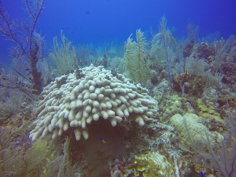 GOPR4510.JPG