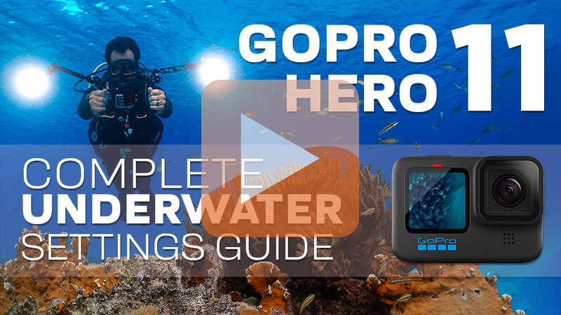 GoPro-HERO11-Video-Settings-Thumbnail.jpg