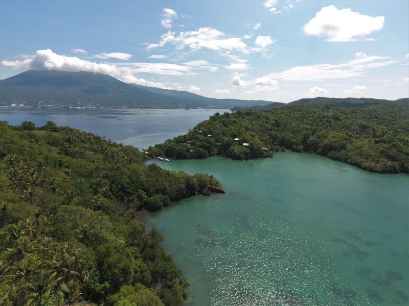 Green Lembeh.JPG