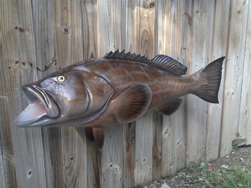 grouper-black-fish-mount-43-2__97382.jpg
