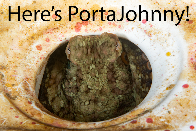 Here's PortaJohnny!.jpg