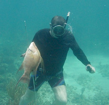 imgur.com  Spearfishing, Slingshot, Diving