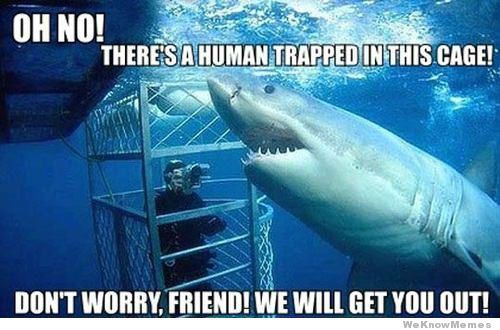 human-trapped-in-cage-shark-will-help.jpg