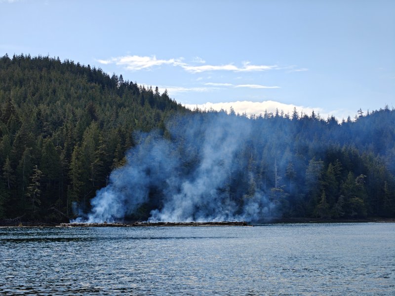 IMG20250501145401.jpg
