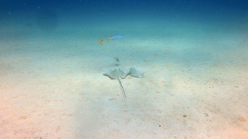 IMG_0078.jpeg