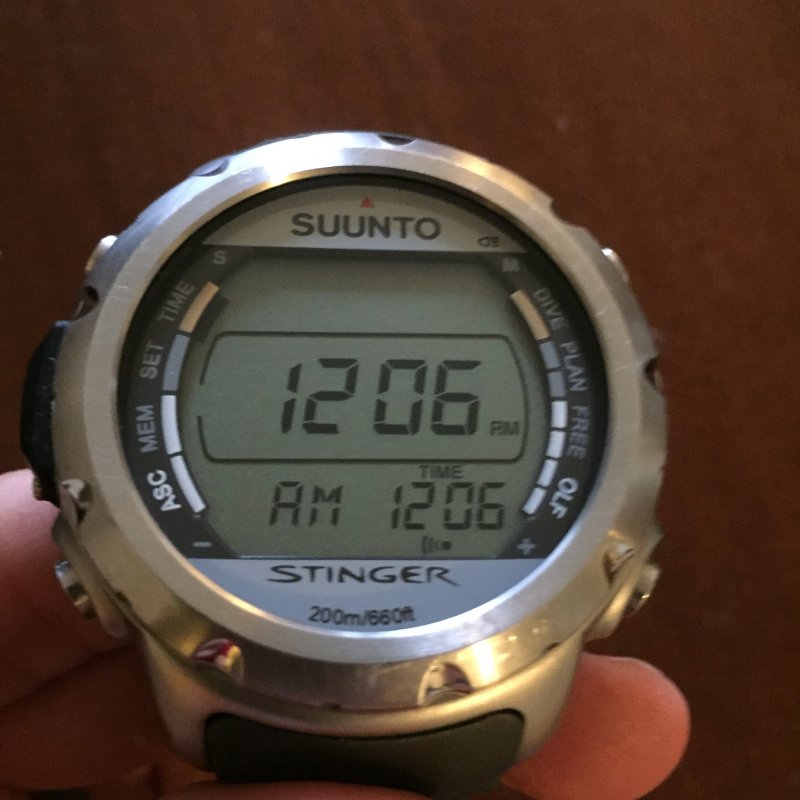 Suunto stinger 2025 for sale