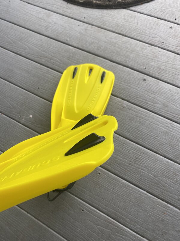 IMG_3856.jpeg IMG_3856.jpeg