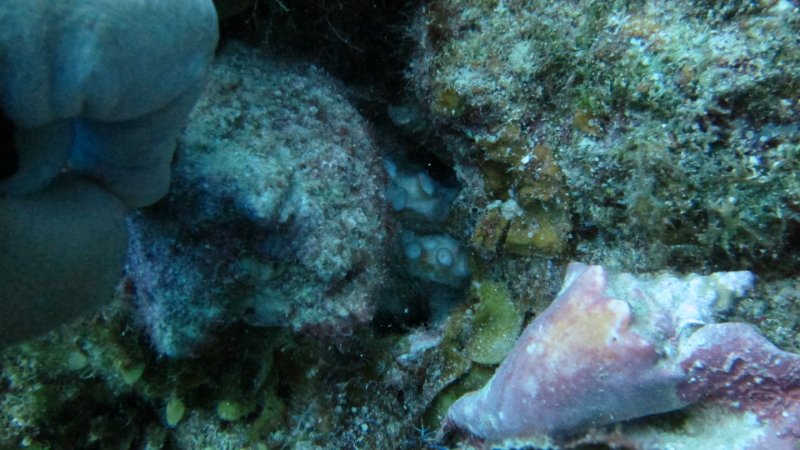IMG_4163.JPG