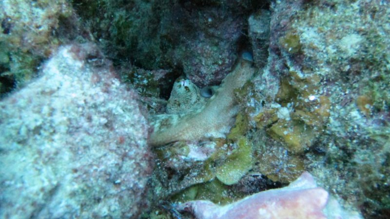 IMG_4166.JPG
